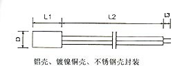 Stainless steel probe - Outline construction and dimensions