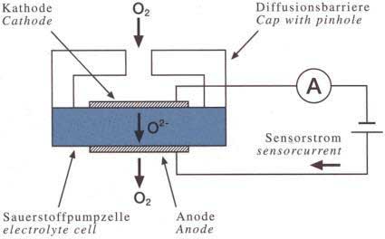 Sauerstoffsensor-Chip funktioniert