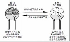 Polymer resettable fuse Selection and Application 