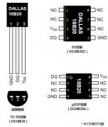 What is the Temperature Measurement Chip DS18B20?