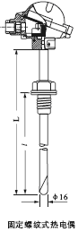 Thermocouple with fixed screw mounting device